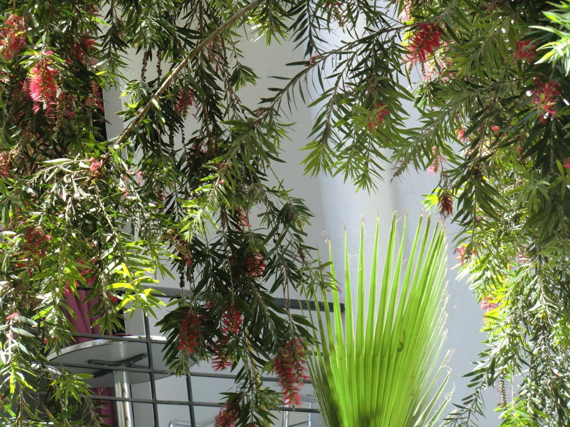 Riad Tchina Marakeş Dış mekan fotoğraf