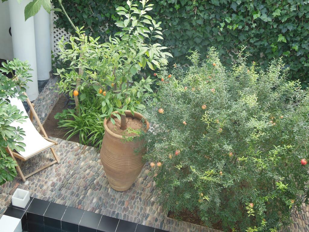 Riad Tchina Marakeş Dış mekan fotoğraf
